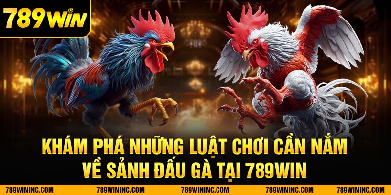 Khám phá về luật chơi casino tại nhà cái 789win